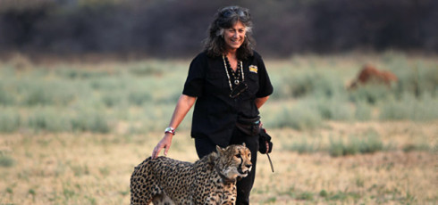 Dr. Laurie Marker, Founder and Executive Director of CCF 