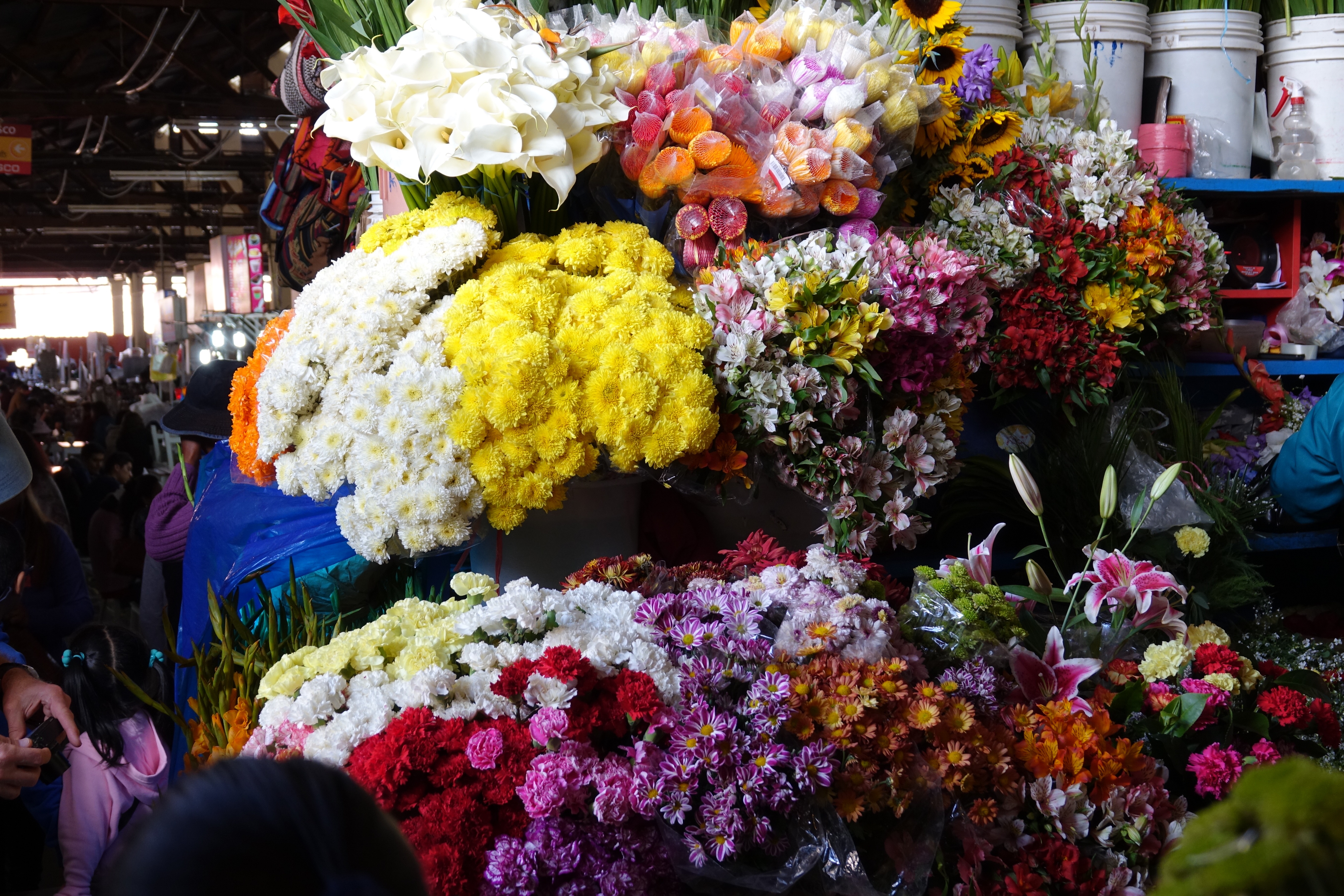 Cusco Mercado San Pedro