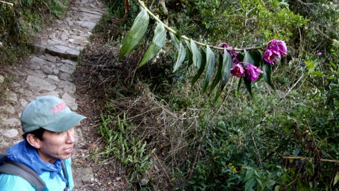  Beautiful flowers along the trail. Photo Credit: Bill Riat